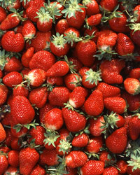 Strawberries