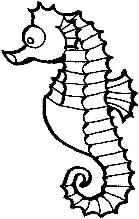 This coloring page for kids features a cute seahorse with big eyes and a curly tail.