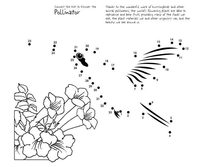 A hummingbird's wings move at an incredible speed, help draw them in by connecting the dots and completing the picture.