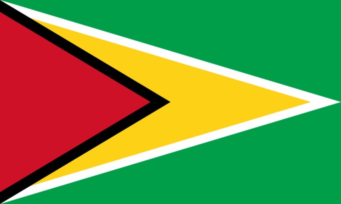 Flag of Guyana