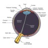 eye diagram