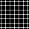 grid illusion