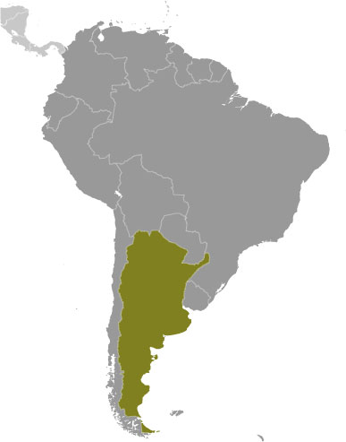 Argentina location