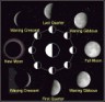 moon phases