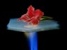 Aerogel