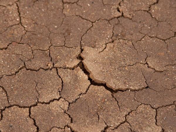 This photo shows dried mud cracking after a season of little rain.