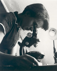 Rosalind Franklin at work